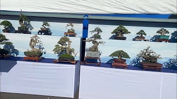 Triển lãm và hội thi sinh vật cảnh miền Trung Tây Nguyên mở rộng 2023 tại Quy Nhơn Bình Định