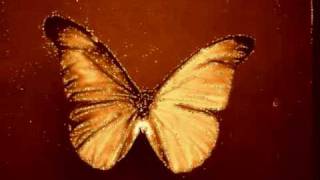 Tori Amos - Sleeps with butterflies chords