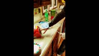 New Life Youth Mannequin Challenge #1