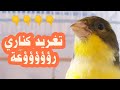 تغريد كناري رؤؤؤؤؤؤعة