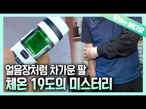 얼음장 같은 팔 온도의 미스터리 | <strong>Human</strong>&amp;#39;s <strong>Body</strong> Temperature is 19°C? Mysterious Arm Temperature