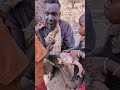 The daily life and diet of the Hazarbi tribe
