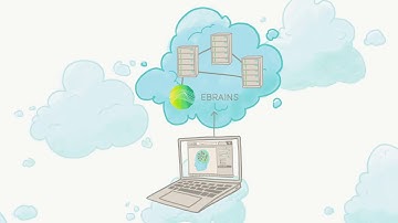 TVB on EBRAINS: TVB Simulations in the Cloud