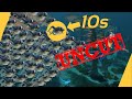 Subnautica Speedrun, But every 10 seconds a cuddlefish spawns| UNCUT