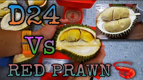 D24 DURIAN ($10) Vs RED PRAWN DURIAN (3 FOR $20)
