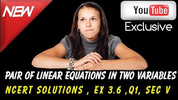 Ncert Solutions For class 10 maths ,Linear Equations in two variable ,Ex 3.6 ,Q1 sec V