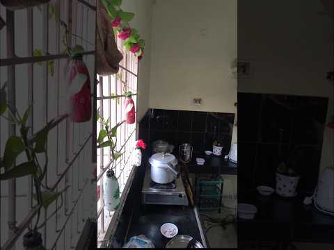peaceful morning Routine #morningroutine #viralvideo #minivlog #trendingshorts #cooking