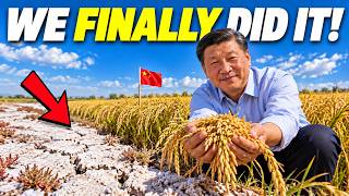 Everyone Laughed When China Tried to Farm Salt Land… Now It Feeds Millions screenshot 2