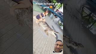 Magar ka kanta ghus gaya #funny #comedy #entertainment