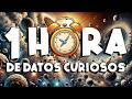 ¡ 1 HORA sin pausas de DATOS CURIOSOS y COSAS QUE NO SABÍAS ! ⏰😲1031 #curiomaníatv