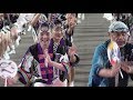 安定の本流「娯茶平」　～阿波おどり2019～　　Awa Odori “Gojyahei”