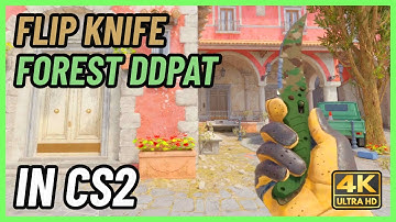 ★ CS2 Flip Knife Forest DDPAT | CS2 Knife In-Game Showcase [4K]