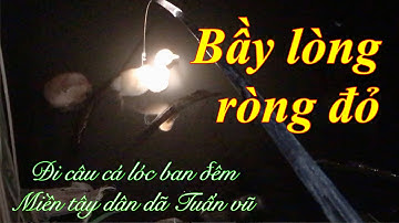 Câu cá -  câu cá lóc bằng vịt ban đêm / tiếp tục câu cá lúc nữa đêm p2