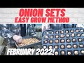 Onion Sets Easy Grow Method [Grow Vegetables & Flowers] [Home Grown Veg] [Allotment]