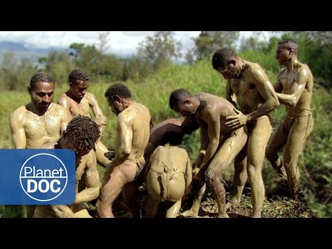 Video: ¿Los embadurnadores de barro son negros?