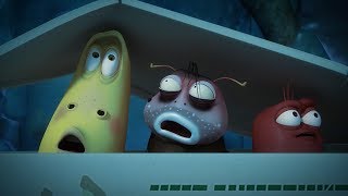 larva hide and seek 2 cartoon movie cartoons for children larva cartoon larva official