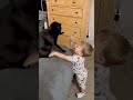 😹 Cats Doing Cats Things 😹 #cat #funnycat #fyp #fypシ #shorts