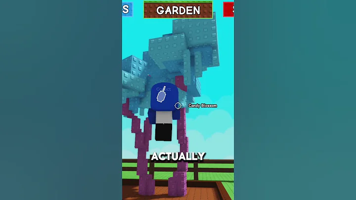 CANDY BLOSSOM IS BACK?