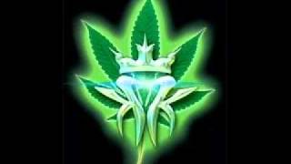 Watch Kottonmouth Kings Can Anybody Hear Me video