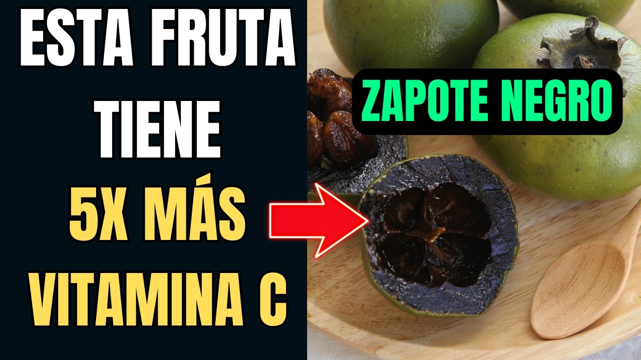 Zapote Negro. El Fruto que Sabe a Chocolate (y es 5 veces mejor que la Naranja)