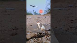 Creative videography 📲👀😮 #shorts #shortvideo #creative #photography #nature