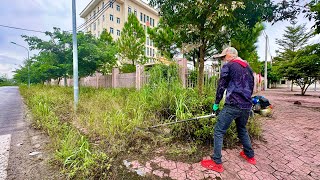 I'm Sad FENCE Need Clean transformation cut overgrown grass on city sidewalks. Everyone ignores me