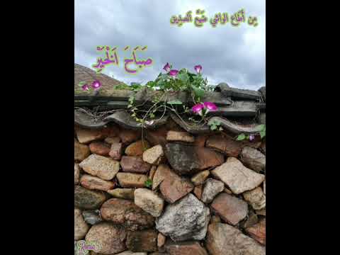 م ن أ ط اع الواشي ض ي ع ا لصد يق ص ب اح ا ل خ ي ر