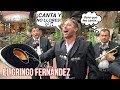 FUI MARIACHI POR UN DÍA || EL GRINGO FERNÁNDEZ