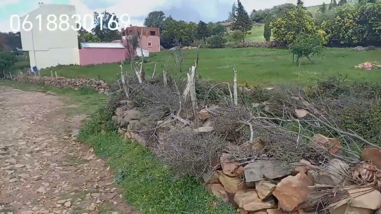 ارض للبيع بمنطقة ملوسة نواحي طنجة الثمن 28 مليون