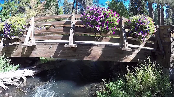 Under the bridge