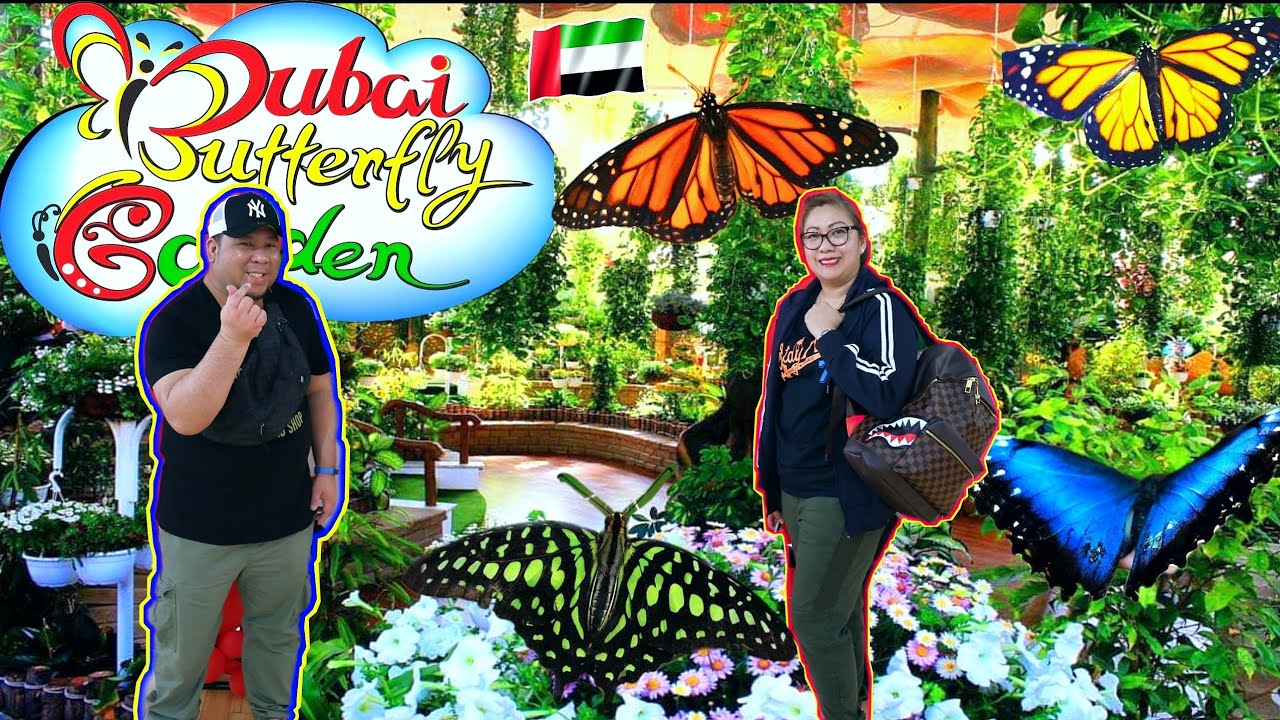 DUBAI BUTTERFLY GARDEN 2020 YouTube