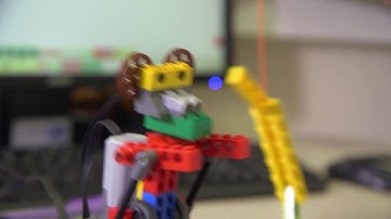 Young Engineers Robotics and Robo Bricks