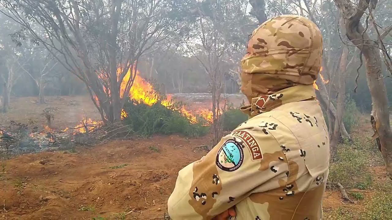 #1 CIPE CAATINGA - A GUARDIÃ DO SERTÃO BAIANO - CPAC