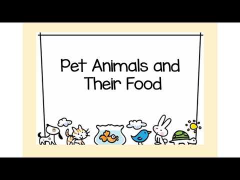 pets food