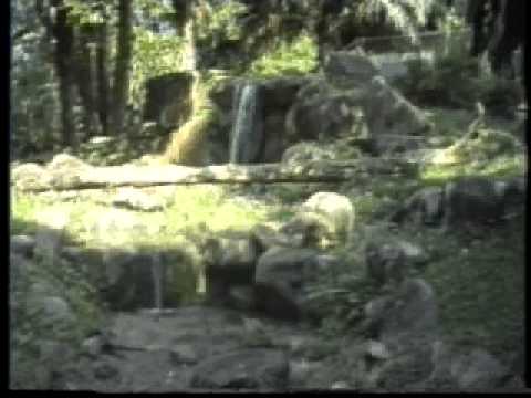 Singapore Zoo 1988 part 4