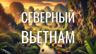 картинка: Исследование Вьетнама: Крысы в продаже, Пьющие вьетнамцы, Гигантские пещеры, Зеленые горы и джунгли