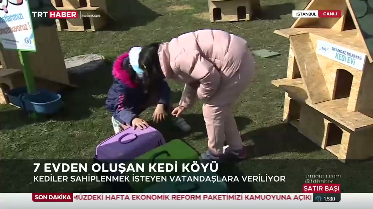 Kedi Köyü TRT Haber YouTube