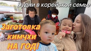 Помогаю корейским родственникам с заготовками кимчхи на целый год! Зачем мы добавляем сырую рыбу😱?