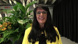 Nein zur Begrenzungsinitiative 1 | Marianne Streiff | EVP Schweiz
