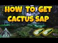 How to Get Cactus Sap ARK Ascended - Extinction Map - YouTube
