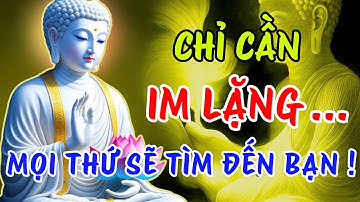 Phật Dạy: Giữ Im Lặng, Và Mọi Thứ : Sẽ Đến Với Bạn Một Cách Tự Nhiên - Người Khôn Ngoan, Càng Ít Lời