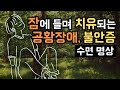 😌💚 자는동안 공황장애, 불안장애가 치유되는 수면 명상가이드, 하루 1번씩 들으며 공황장애, 불안증 극복하는 훈련! [BSM Level 2 - 정서 안정 및 잠재의식 치유]