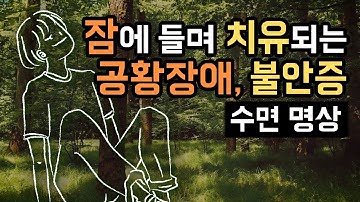 ?? 잠에 들며 공황장애, 불안장애의 치유를 돕는 수면 명상가이드, 하루 1번씩 들으며 공황장애, 불안증 극복하는 훈련! [BSM Level 2 - 정서 안정 및 잠재의식 치유]