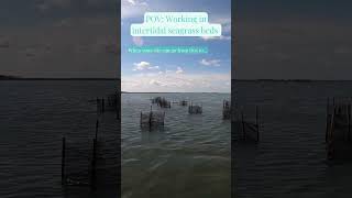 The Magic Of Intertidal Sites