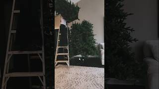 Put up my 15 ft traditional Christmas Tree with me!🎄 #christmas #fyp #tree #howto #decor #decoration
