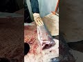 Skills #skills #fish #fishing #shorts #knifeskills #precision