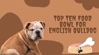 Top ten food bowl for English Bulldog | The Ultimate Guide to Top ten food bowl for English Bulldog