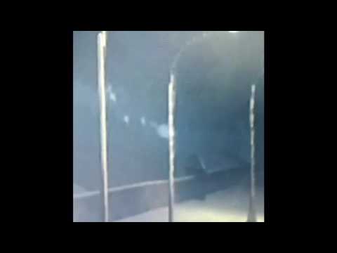 دعس الهطف   8 اللي أهو كرنكش من قبل عمه 