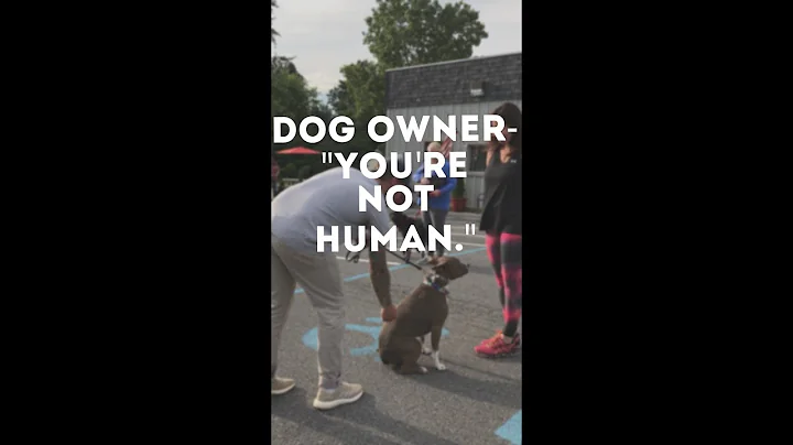 Prong Collar Training an aggressive Pit Bull Terrier with Americas Canine Educator