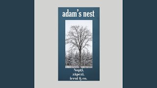 Nopți, zăpezi, ierni & co.